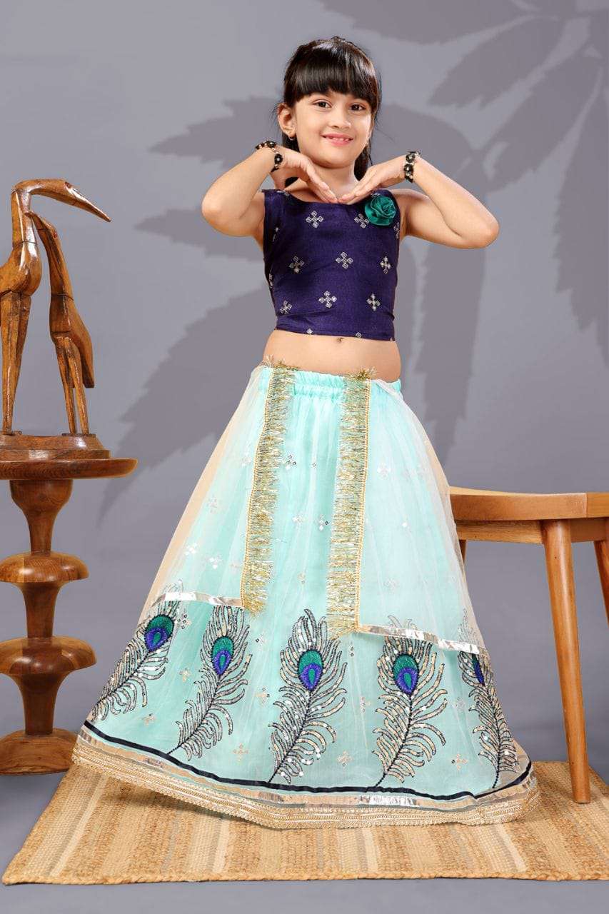 184 SERIES BY ASLIWHOLESALE DESIGNER PURE NET EMBROIDERY LEHENGAS-00293